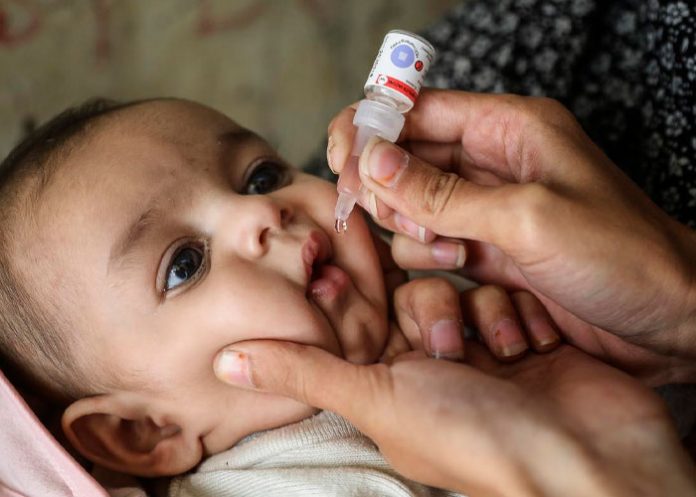 OPS insta a vacunarse contra la polio ante riesgo de reaparición.