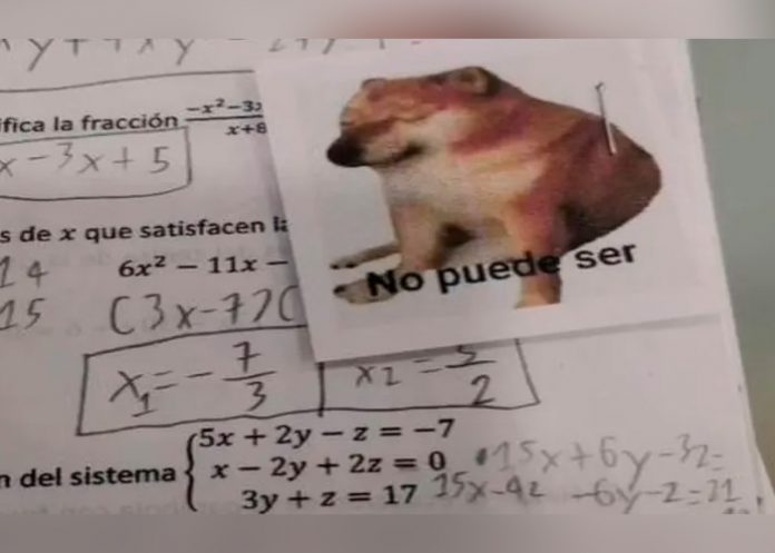 Profesor califica exámenes de matemáticas con memes y se hace viral