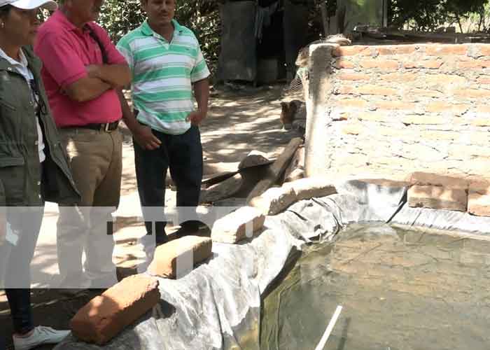 Crianza de tilapias se multiplica en la Isla de Ometepe
