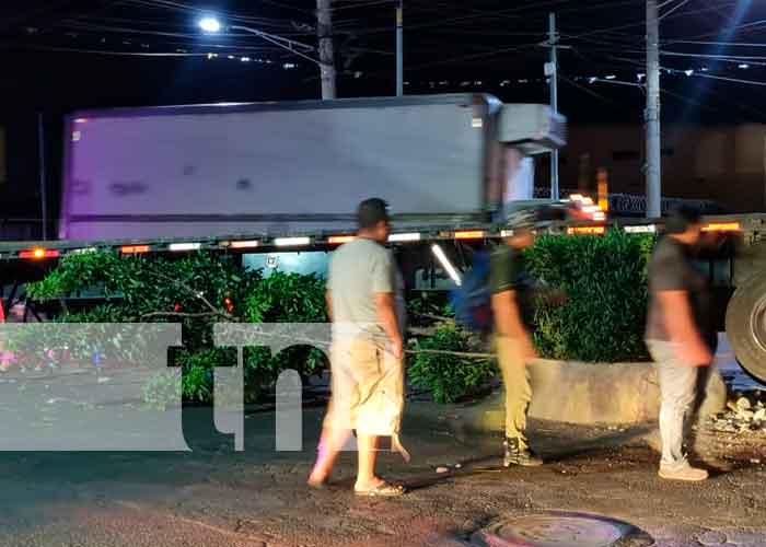 Rastra acaba con "el arbolito" y destruye un negocio en Managua