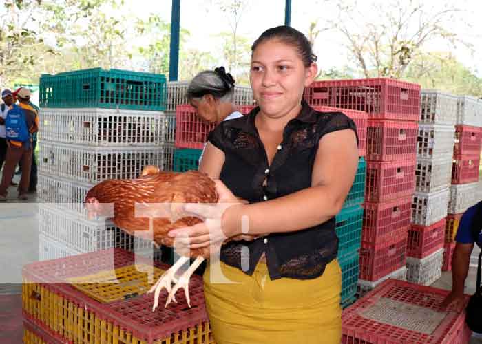 Mujeres del Triángulo Minero recibieron bonos de aves