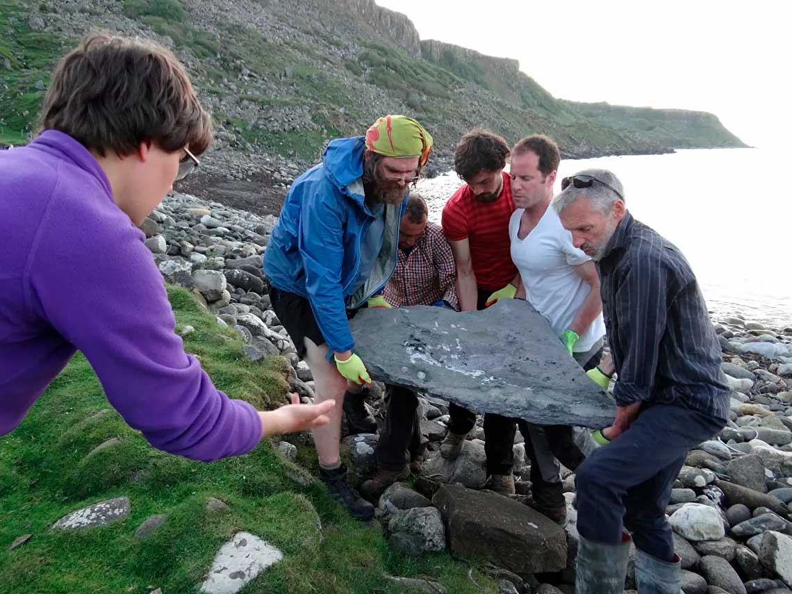 Encuentran el pterosaurio jurásico más grande del mundo en Escocia