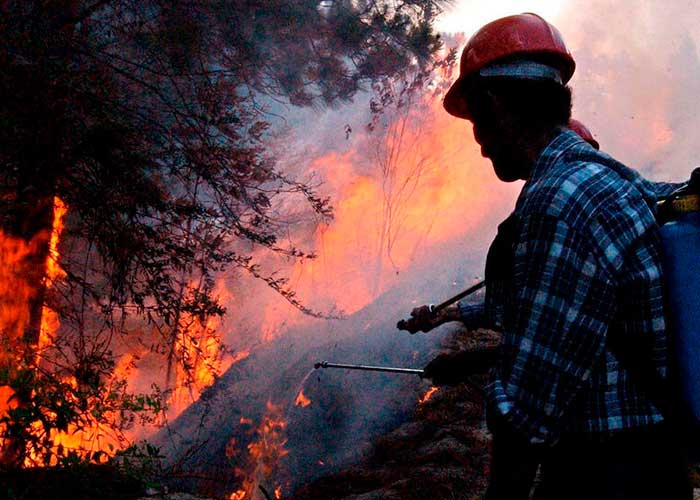 Incendios forestales en Colombia pueden ser provocados