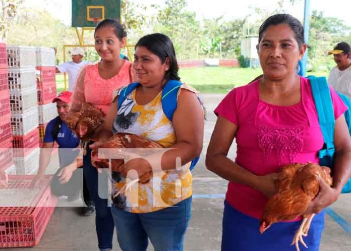 Mujeres del Triángulo Minero recibieron bonos de aves