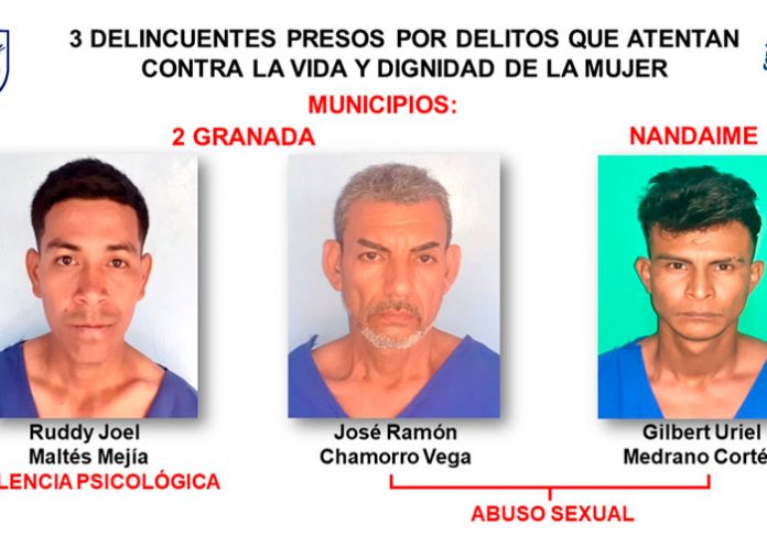 Operativos dejan 11 detenidos por diferentes delitos en Granada