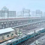 Tokio es golpeado por un fuerte temporal de nieve que deja afectaciones.