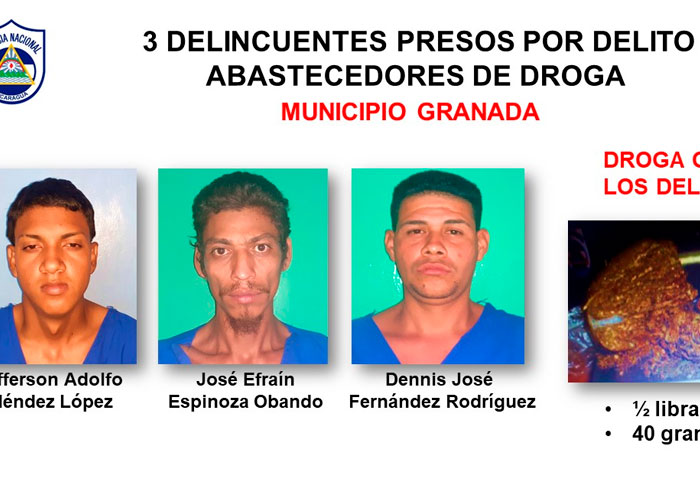 Operativos dejan 11 detenidos por diferentes delitos en Granada
