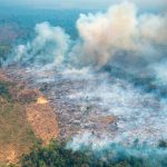 Incendios forestales en Colombia pueden ser provocados