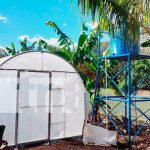 Inauguran micro túnel para producir plántulas de hortalizas en Boaco