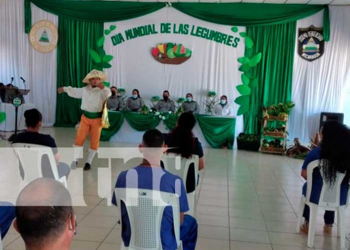 Conmemoran día mundial de las legumbres en Tipitapa