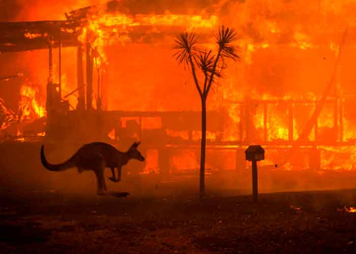 Devastadores incendios forestales en Australia