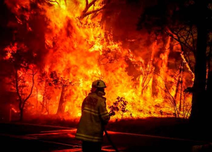 Devastadores incendios forestales en Australia