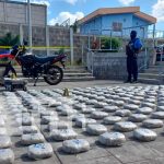 Tenaz operativo dejó la incautación de 310 kilos de marihuana en Managua
