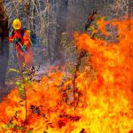 El Salvador declara alerta roja por incremento de incendios forestales