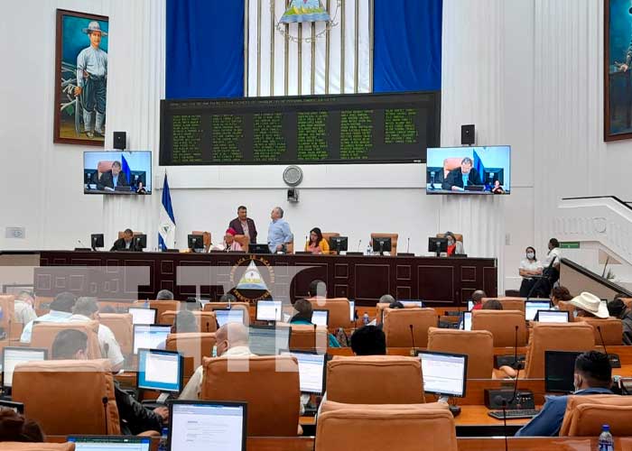 Sesión parlamentaria en la Asamblea Nacional