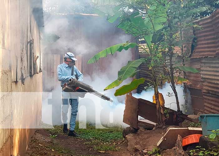 Aplicación de BTI y fumigación en barrios de Managua