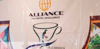 Organización de catación de café en Nicaragua