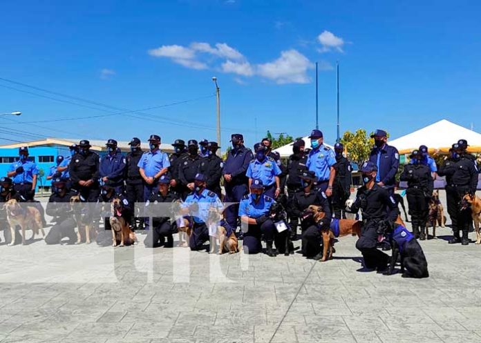 Graduación policial con la técnica canina en Nicaragua