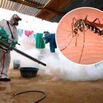 Nuevo brote de dengue en Perú causa ocho muertes