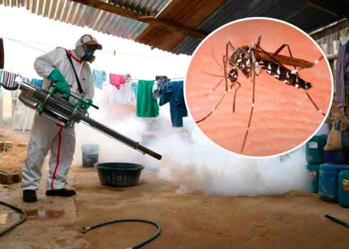 Nuevo brote de dengue en Perú causa ocho muertes