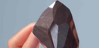 El mayor diamante negro natural del mundo, vendido por 4,3 MDD