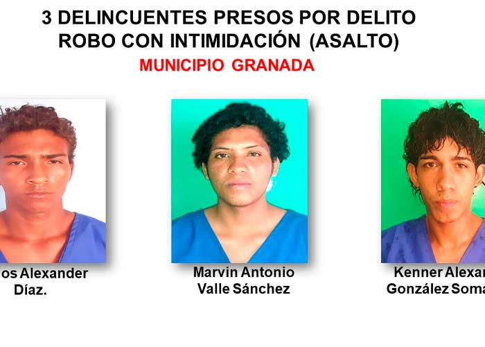 Captura de presuntos delincuentes en Granada 