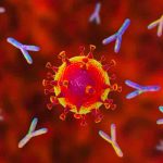 Estudio demuestra cómo comienza la infección por el virus SARS-COV-2