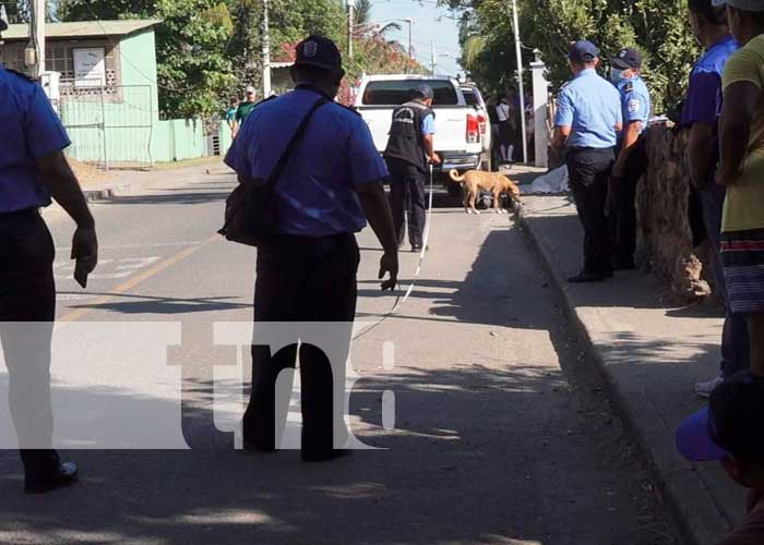 Accidente de tránsito con saldo mortal en León