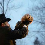 La marmota Phil pronostica más invierno en Estados Unidos