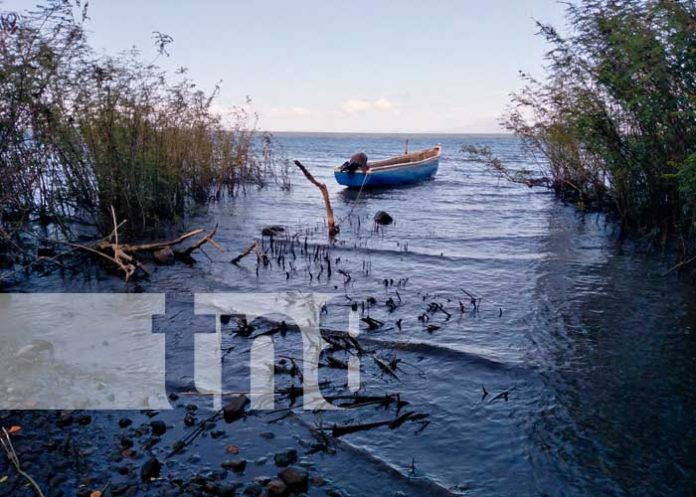 Costa en la Isla de Ometepe donde buscan a un pescador