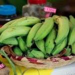 Cultivo de plátanos en Nicaragua