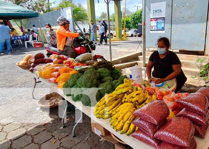 Variedad de productos en feria del INTA Nicaragua