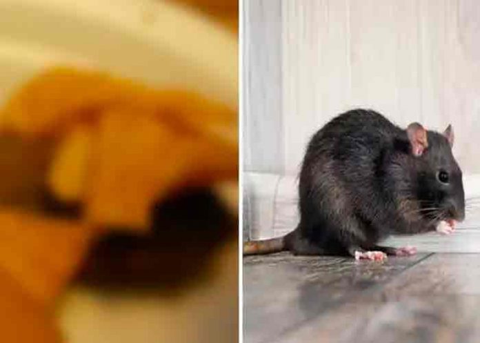 Viral video: Abrió una bolsa de comida y encontró una rata muerta