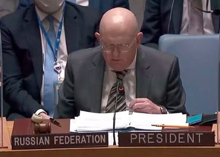 Rusia afirmó ante la ONU que no pretende una ocupación de Ucrania 