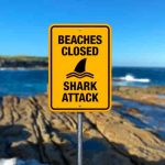 Policía australiana recupera restos humanos tras sangriento ataque de tiburón