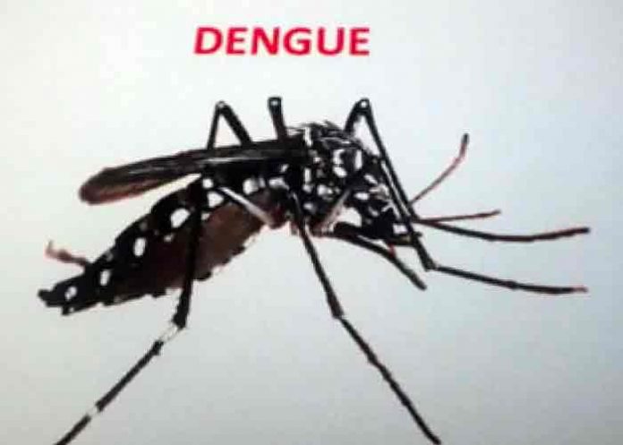 Timor Oriental vive epidemia de dengue en niños