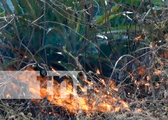 Imagen de incendio forestal en Nicaragua