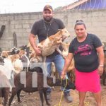 Bonos de cabras y ovejas a productores de Nueva Segovia