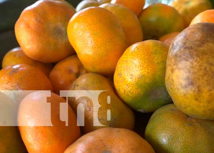 Ometepe: Comerciantes ofertan frutas propias de la temporada