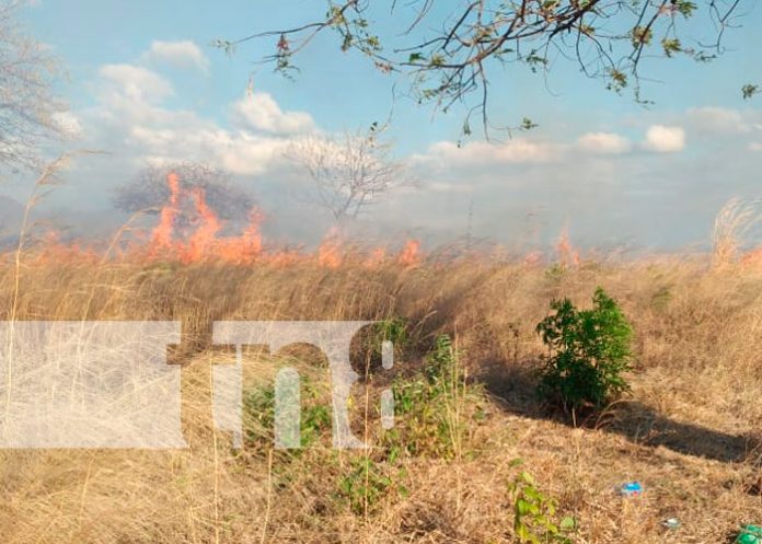 Incendio Forestal Afecta más de 20 Manzanas en Juigalpa, Chontales
