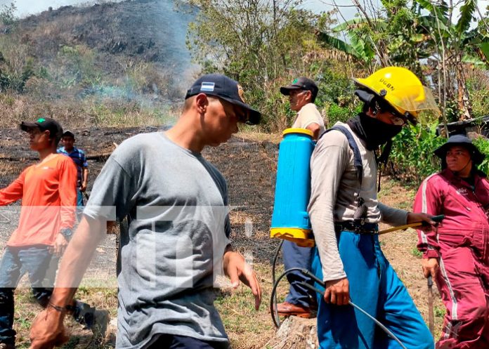 Incendio arrasa con más de dos manzanas de maleza en Matagalpa