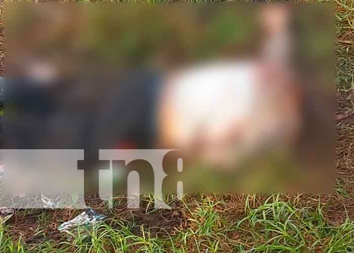 Encuentran a hombre decapitado en Shasa, Puerto Cabezas