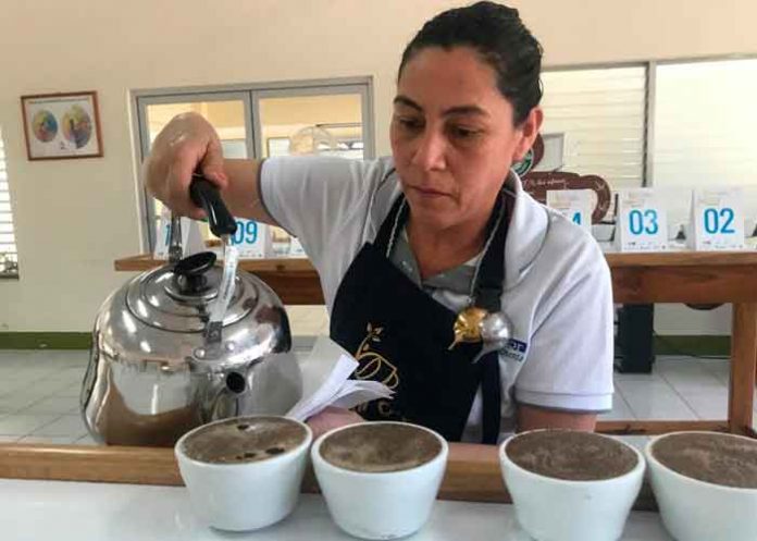 INTA promueve sexta Edición del Certamen Taza Dorada en Matagalpa