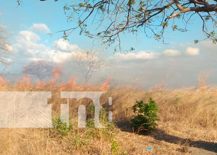 Incendio Forestal Afecta más de 20 Manzanas en Juigalpa, Chontales