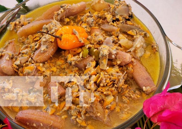 Realizan Festival Gastronómico Sabores de Cuaresma en Bilwi