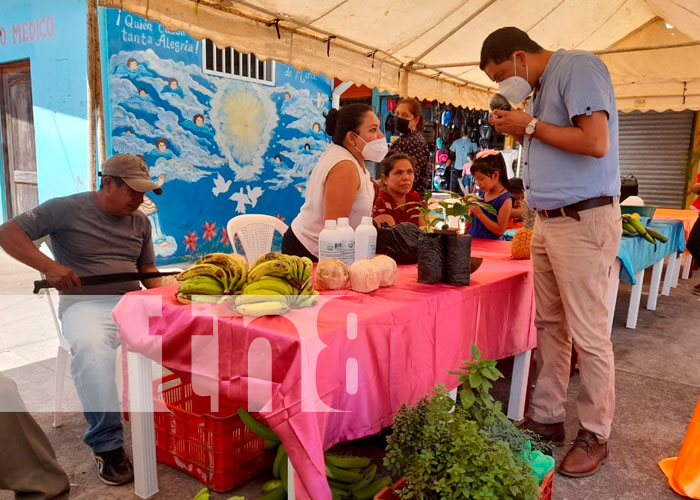 Feria del INTA con productores de café de Ticuantepe y El Crucero