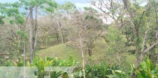 MARENA declara reserva silvestre privada la Finca "Los Deseos" en Boaco