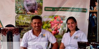 León: promueven estrategias de producción y consumo de café