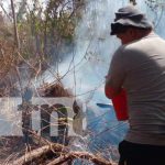 Controlan incendio forestal en Peña Inculta en la Isla de Ometepe