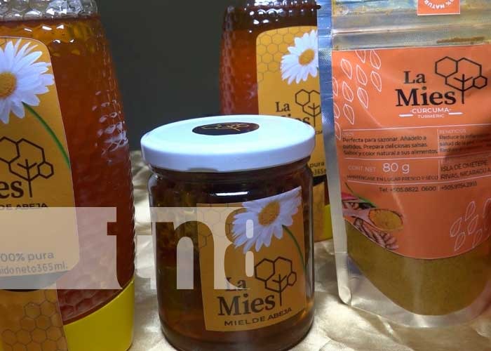 "LA MIES" un emprendimiento apícola exitoso en la Isla de Ometepe